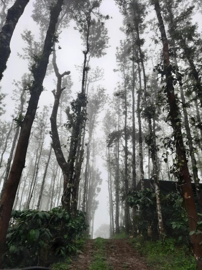 Coorg Happy Estate Stay Madikeri Exterior foto