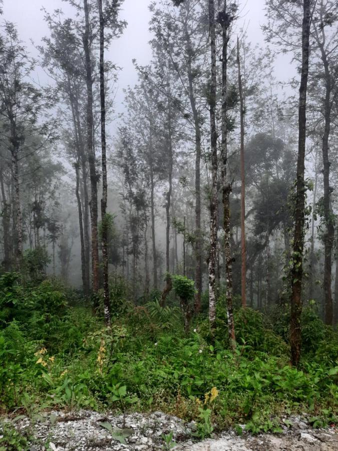 Coorg Happy Estate Stay Madikeri Exterior foto